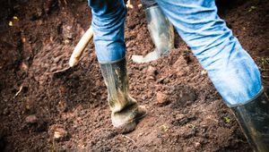 50% от българите се разболяват от работа