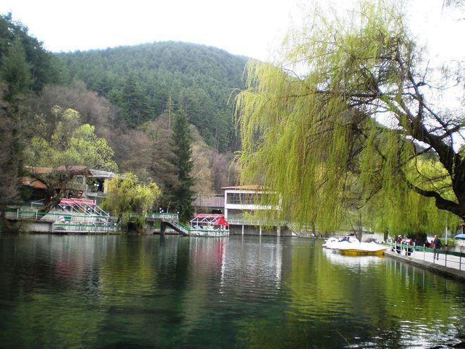 Клептуза във Велинград