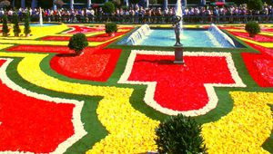 Цветният килим на Гран плас в Брюксел
