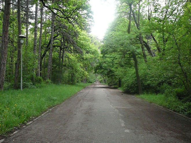 Алея в Борисовата градина