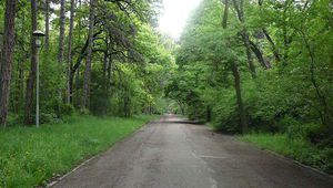 Алея в Борисовата градина