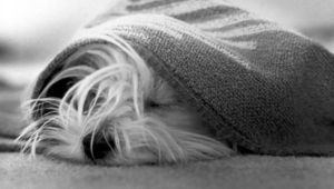 Никога няма да си простя, че не исках да спя в детската градина