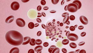 Кръвни телца