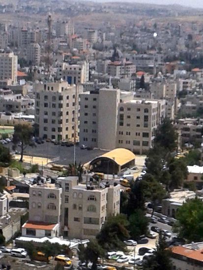 "Хрупкавият рак" - поглед отвисоко