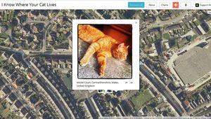 Знам къде живее котката ти