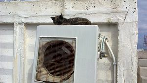 Котка върху горещ ламаринен климатик