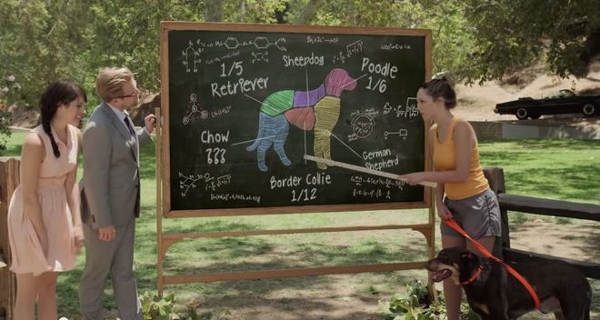 За породистите кучета