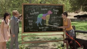 За породистите кучета