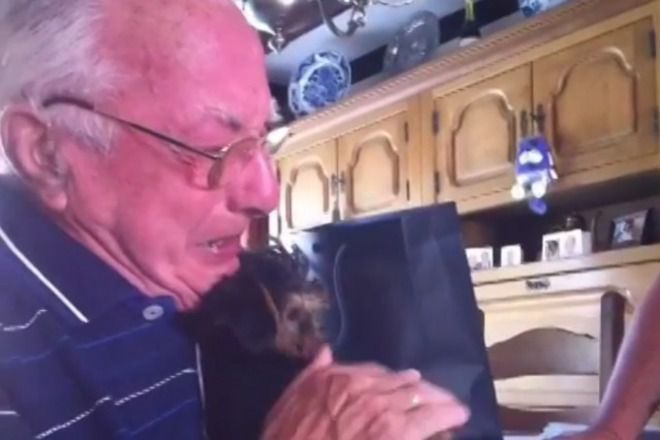 Veren priyatel na stari godini