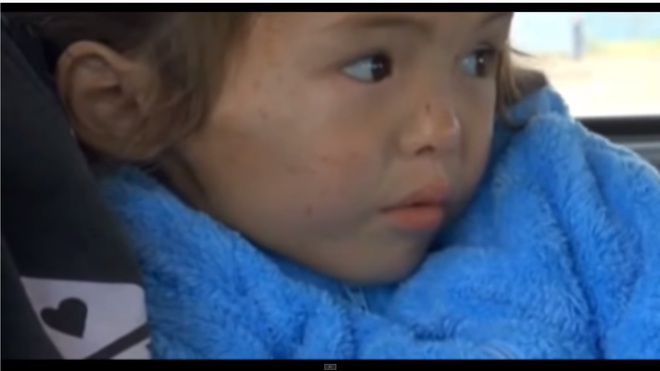 Куче спаси 4-годишно дете