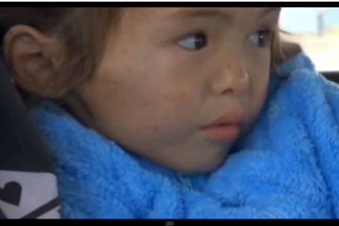 Kuche spasi 4 godishno dete