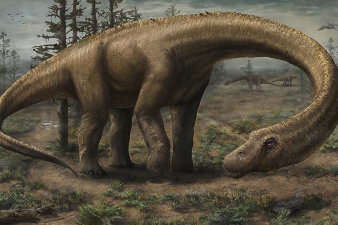 Dreadnoughtus schrani nay golemiyat dinozavar