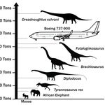 Дреднаутът в сравнение с други динозаври