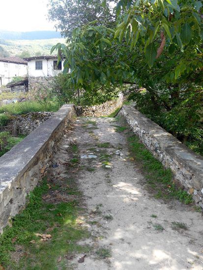 Село Голешово