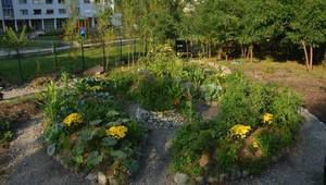 Биоградина за общо ползване в кв. Витоша