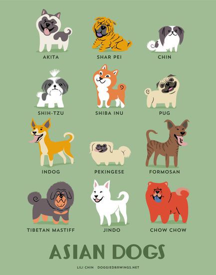 Азиатски породи кучета