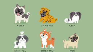 Азиатски породи кучета