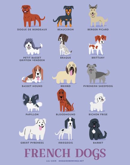 Френски породи кучета
