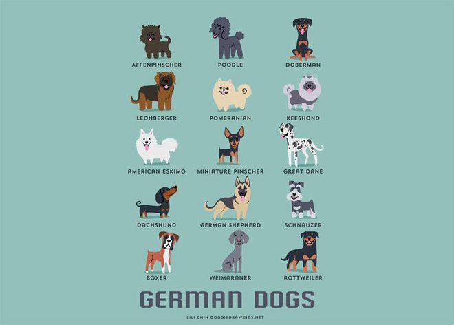 Германски породи кучета