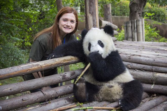 Актриса от "Хари Потър" се снима с малка панда