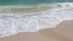 На брега на океана