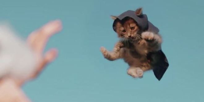 Котета убийци
