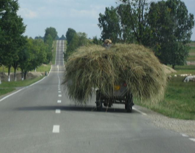 Мила балканска картинка