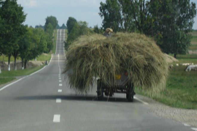 Mila balkanska kartinka