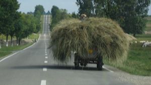 Мила балканска картинка