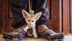 Бруно Д'Амичис (Италия) - "Цената, която плащат"
