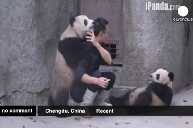 Pandite koito preboriha gledacha si