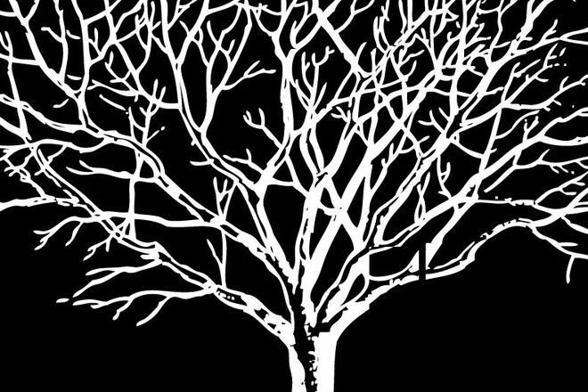 Otnovo contact v klub yalta