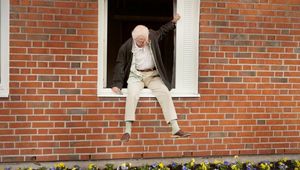 Стогодишният старец, който скочи през прозореца и изчезна (2013)