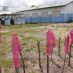 Сиера Леоне е сред най-засегнатите от ебола държави