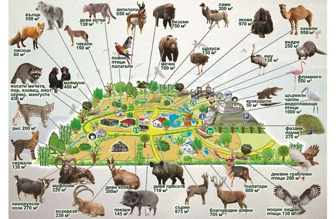 Животните в бъдещия зоопарк на Пловдив