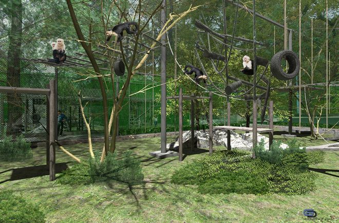 Бъдещият зоопарк на Пловдив: Капуцините