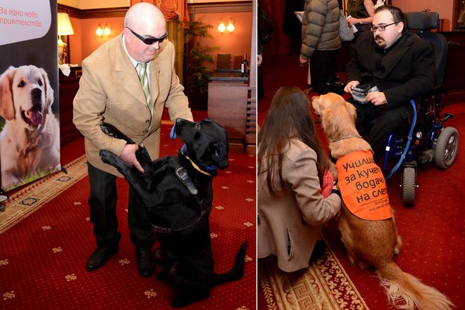 Отвори очи за свободен достъп на слепи хора с кучета водачи