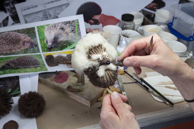 Таралеж с афроприческа