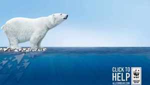 Бяла мечка - реклама на WWF