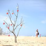 Коледно дръвче на плажа