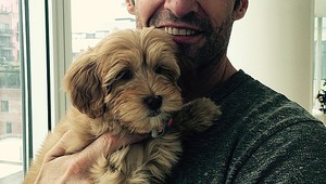 Новото кученце на Хю Джакман