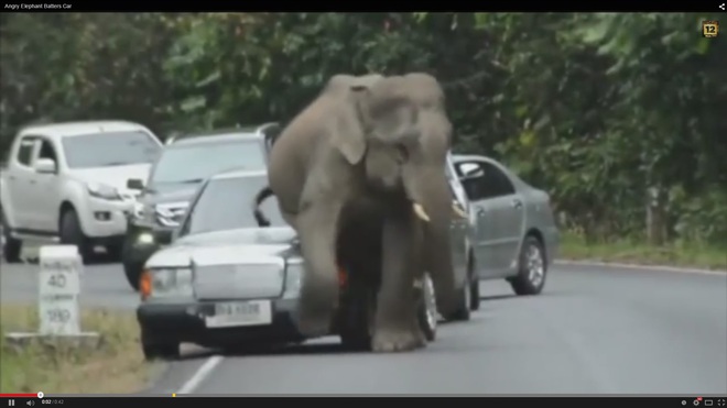 Ядосаният слон