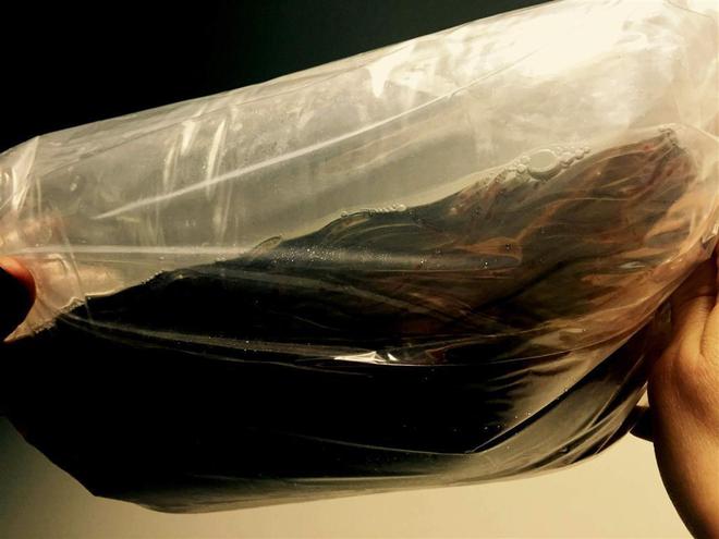 Контрабандните змиорки, заловени на летище София