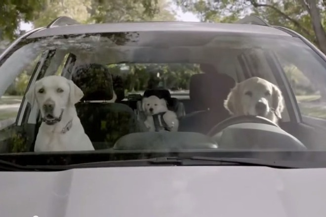 Za kuchetata i avtomobilite