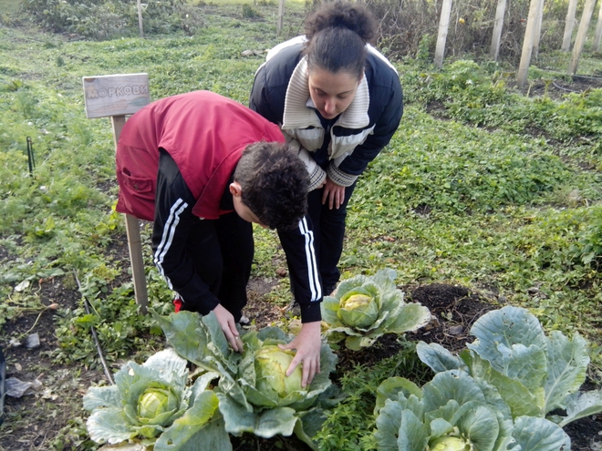 Биоградината в Стара Загора