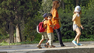 Разходките сред природата са полезни за здравето