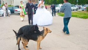 Любов витае из въздуха