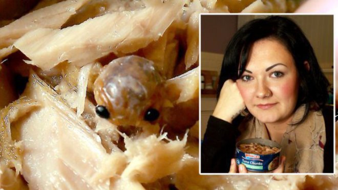 Какво гледа от консерва с риба?