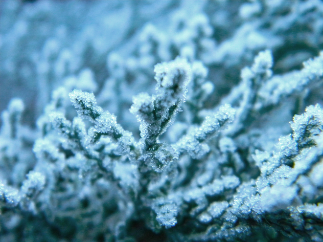 Студ и сняг