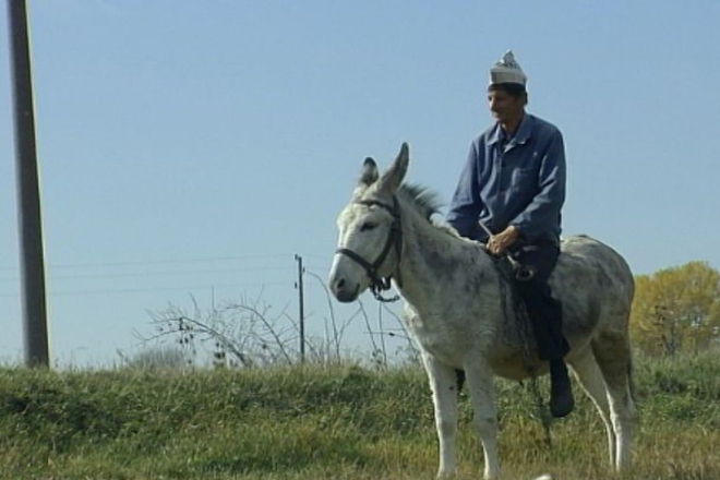  frenska lyubov kadar ot filma